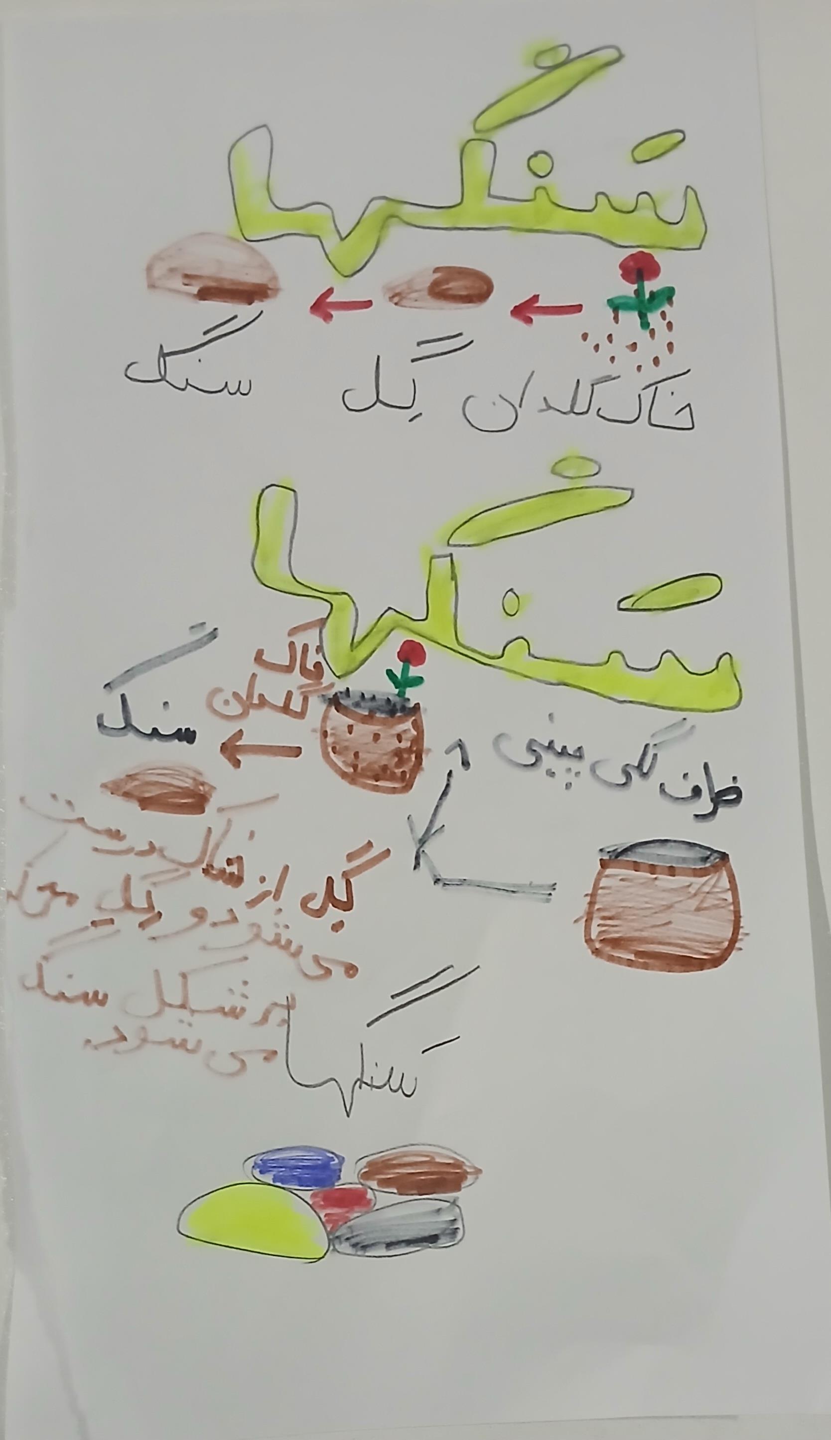 سیده فائزه رفیعی
